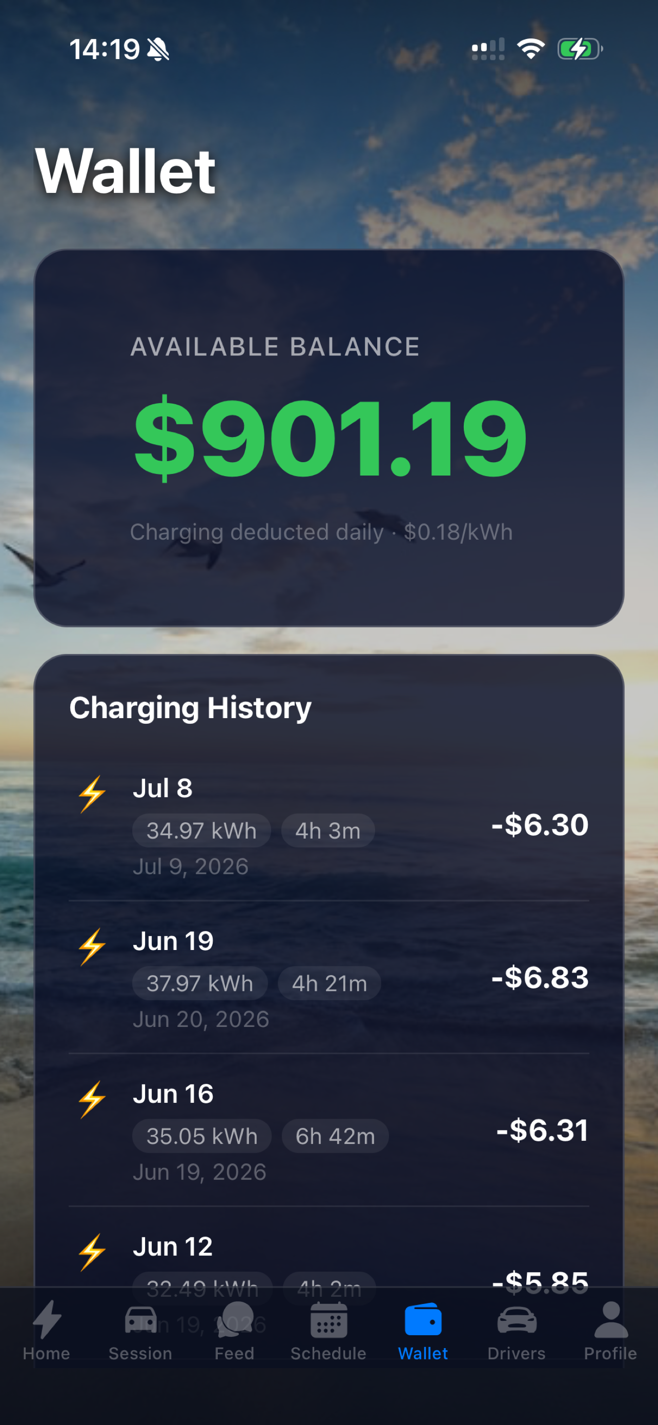 2020EV wallet interface